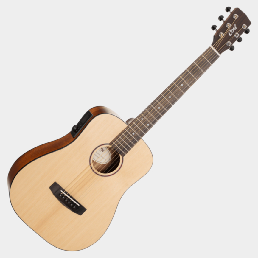 Gitar Akustik-Elektrik Cort Earth GO HyVibe