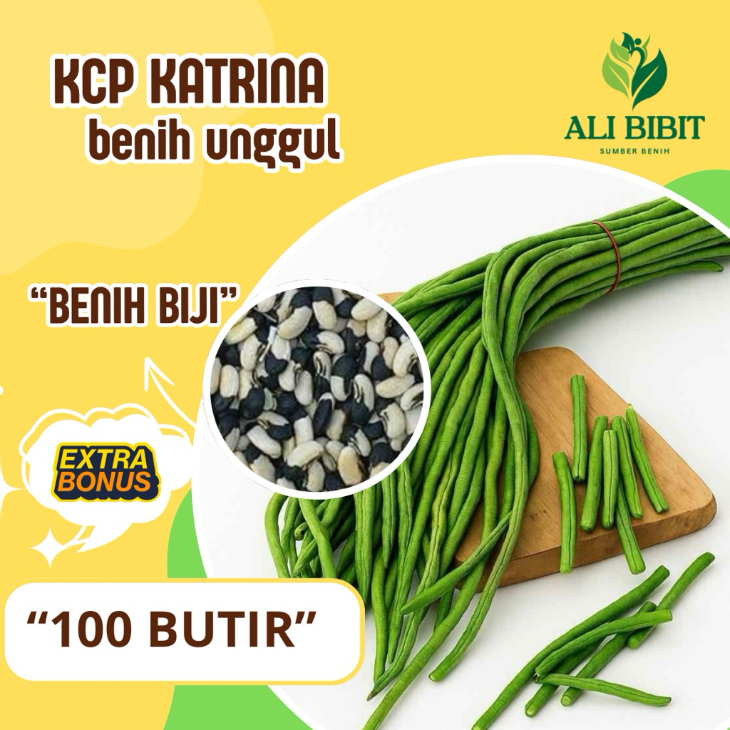 100 Butir > Benih Kacang Panjang katrina> Bibit Kacang Panjang Biji