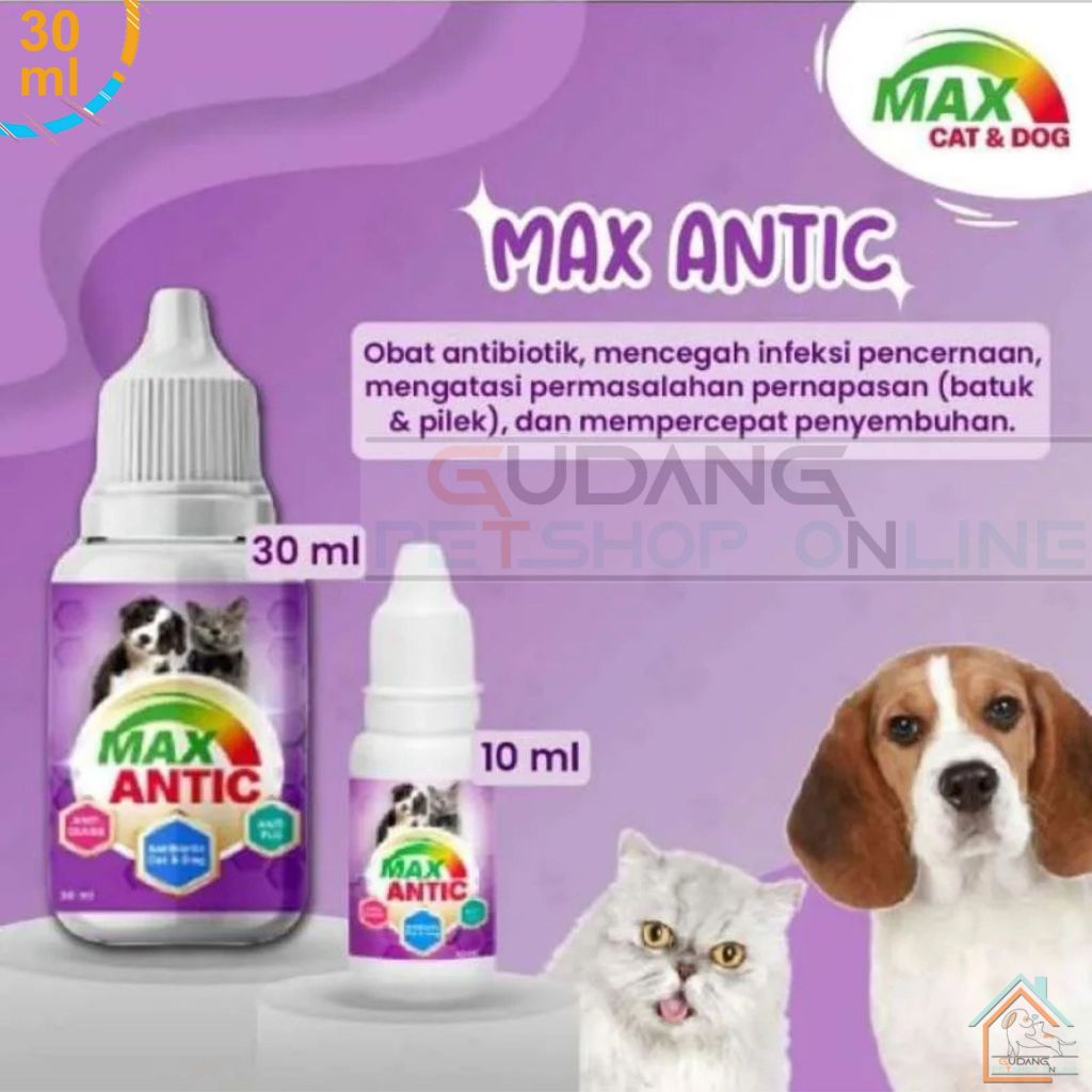 Obat Antibiotic Kucing Anjing MAX ANTIC Obat Antibiotik gpo