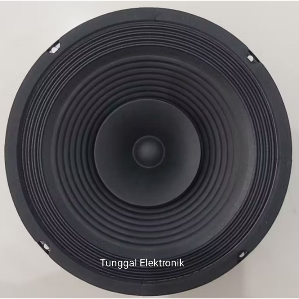 SPEAKER FULLRANGE 10 INCH CURVE C-1018 HW 250 WATT 8 OHM TERLARIS