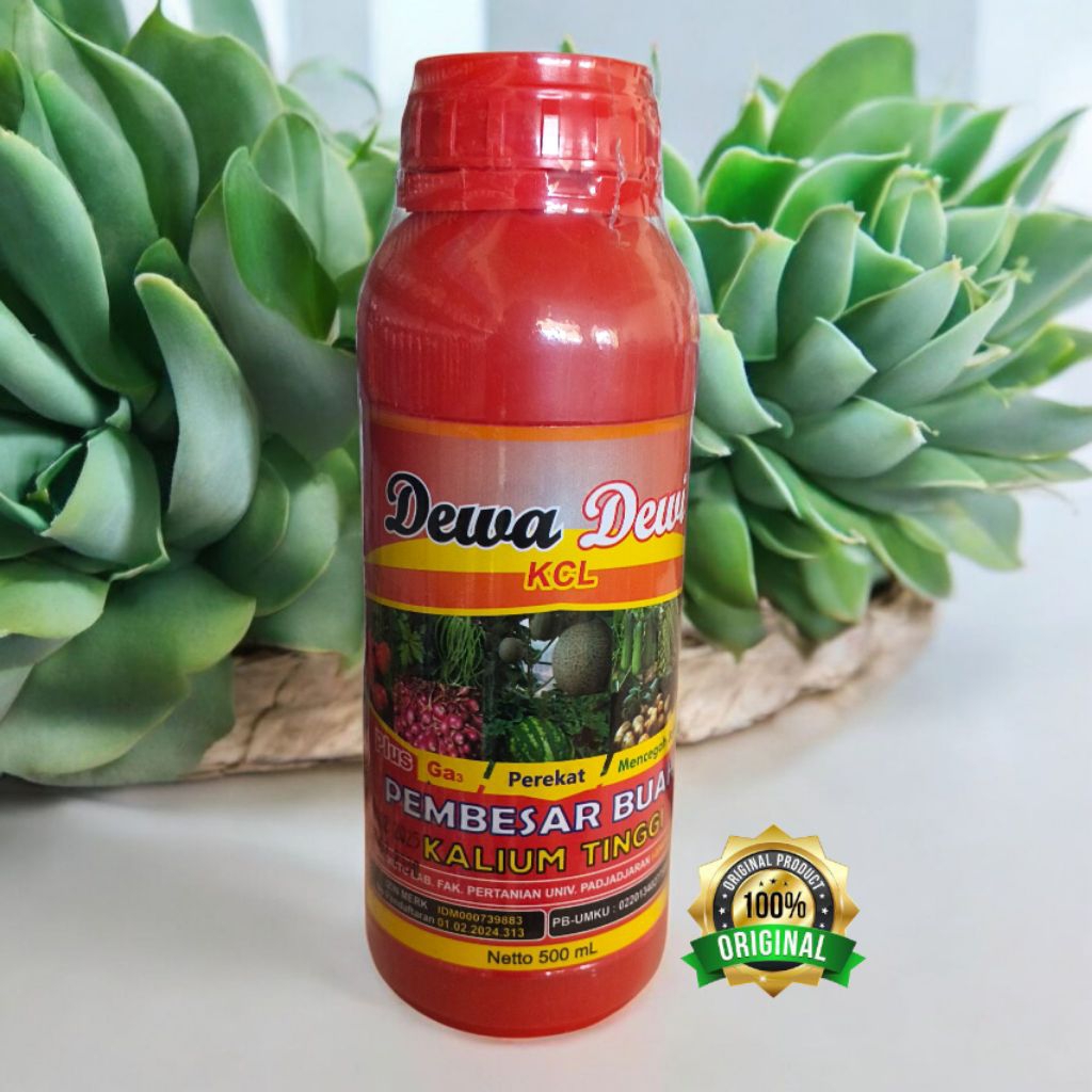 Pupuk Pembesar Buah KCL Dewa Dewi 500ML~KCL Cair Kalium Tinggi