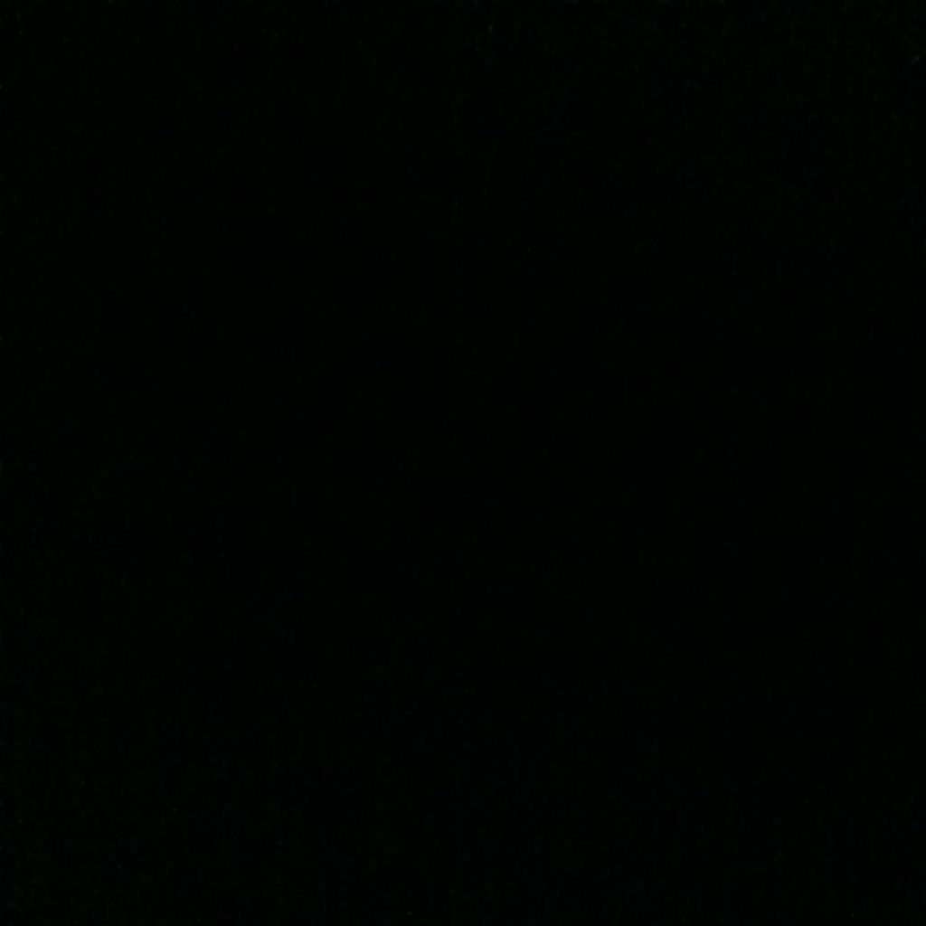 Hoodie Carhartt Spellout DKB