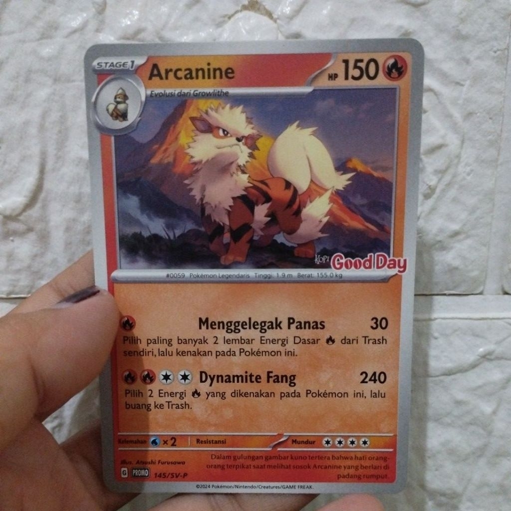 Arcanine Kartu Pokemon Good Day