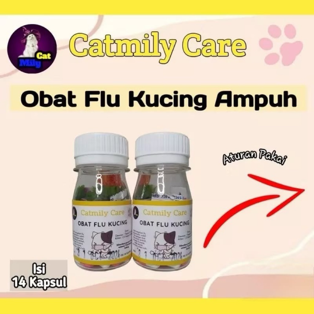 Obat Flu Kucing Ampuh