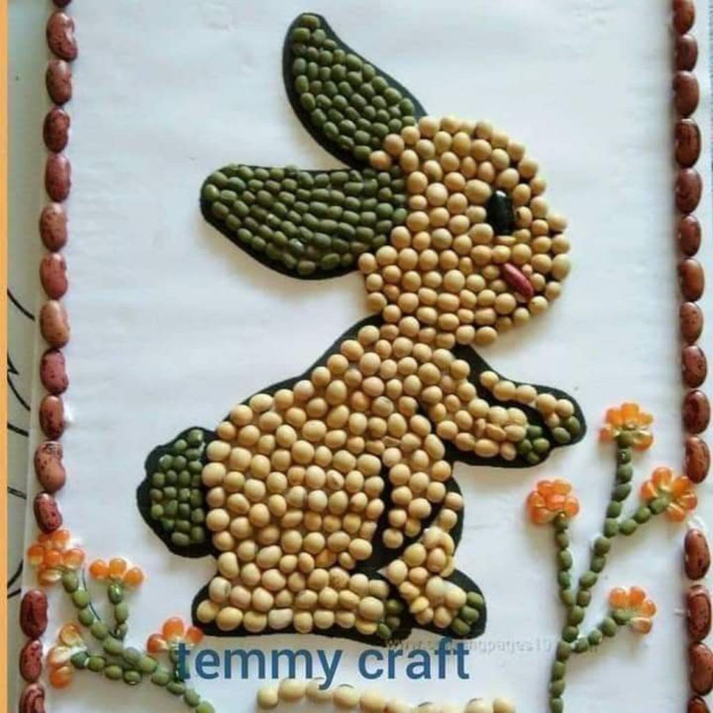 kolase biji bijian kelinci reallpict