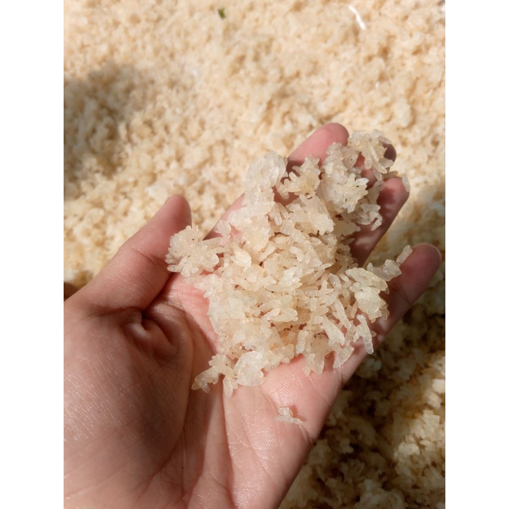 Karak nasi aking /1kg