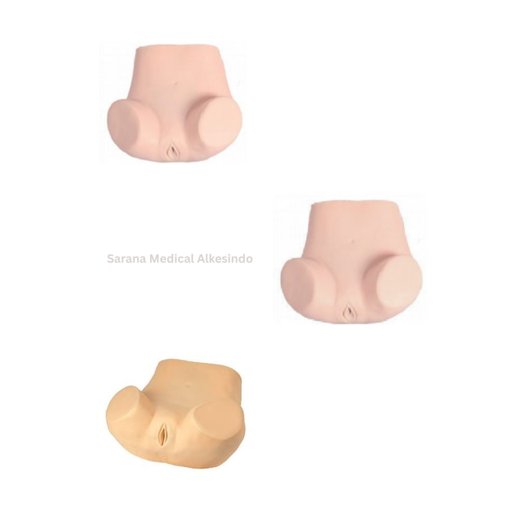 Manekin/Manikin/Alat Peraga/Phantom/Manekin Pelatihan Ginekologi Tingkat Lanjut – Simulasi Pemeriksa