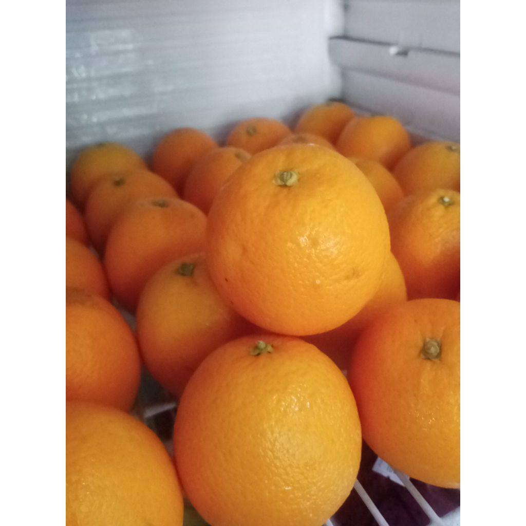 Jeruk Sunkist | 1Kg | Jeruk