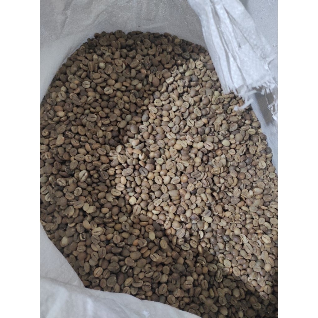 Biji Kopi Robusta Lampung