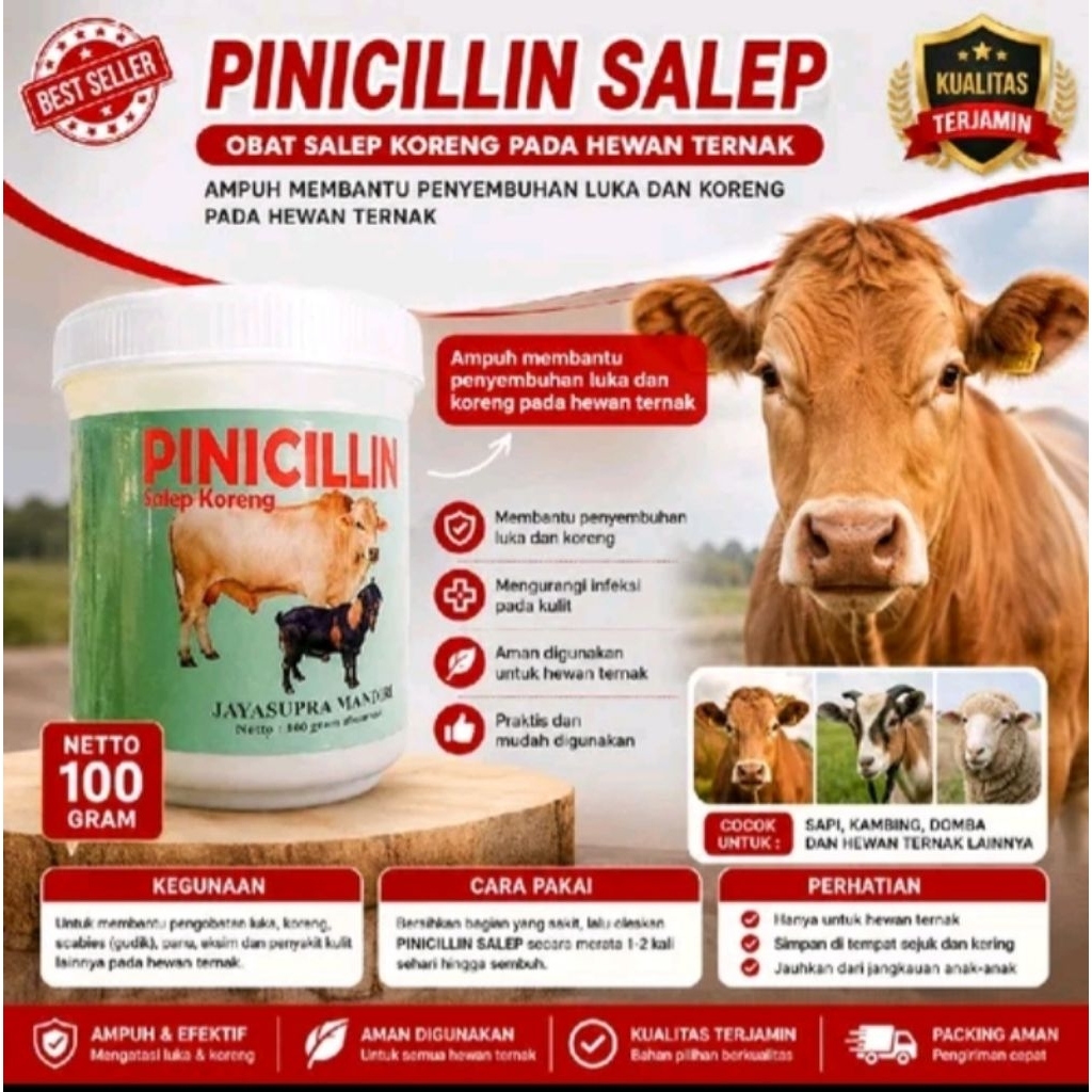 PINISILIN SALEP OBAT KORENG BUAT HEWAN obat jamur kucing kututox