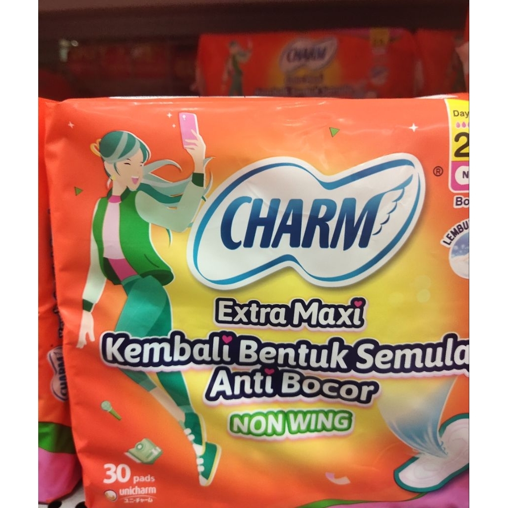 PEMBALUT CHARM BODY FIT ISI 30 NON WING