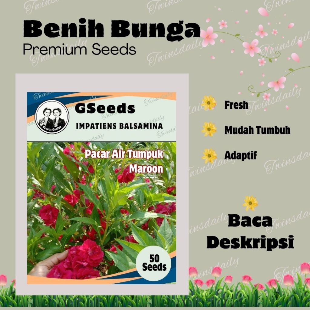 Bunga Pacar Air Tumpuk Maroon