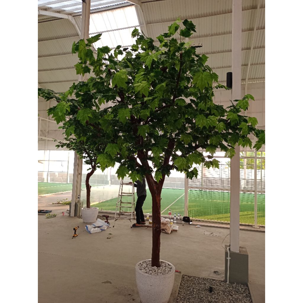 Tanaman Hias Pohon Maple Artificial Buatan Besar 3 Meter Pohon Maple Artificial Buatan Besar 3 Meter