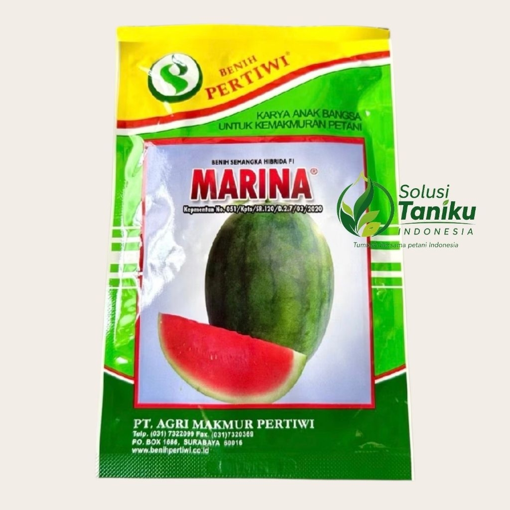 Benih Semangka MARINA F1 - Semangka Non Biji Marina Benih Pertiwi