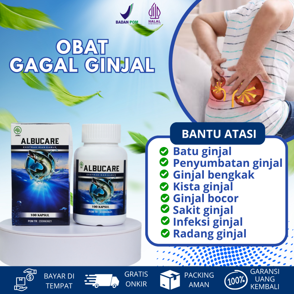 Obat Gagal Ginjal Infeksi Ginjal, Obat Batu Ginjal  Radang Ginjal Bengkak Bocor, Obat Infeksi Ginjal