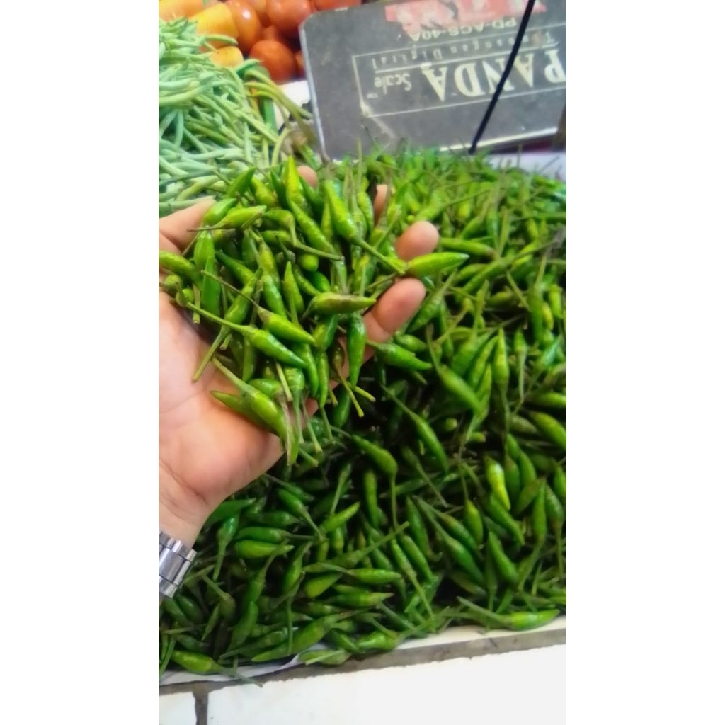 cabe rawit ijo segar 1kg