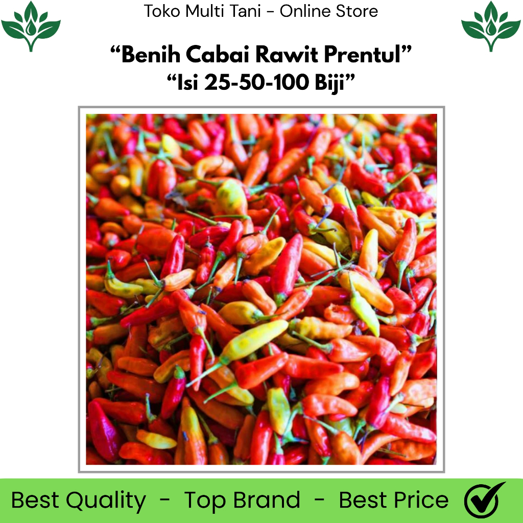 Cabai Rawit Prentul Isi 25-50-100 Biji - Cabai Rawit Prentul - Cabai Rawit Pedas - Cabai Rawit Unggu