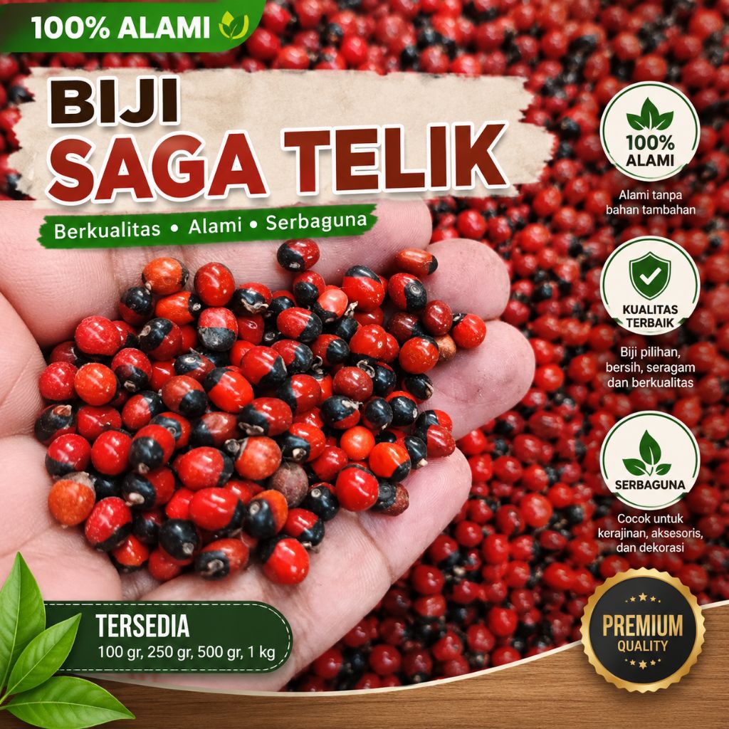 Biji saga berkualitas - saga kunteng - sogo tunteng - saga bintik hitam - biji saga ecer