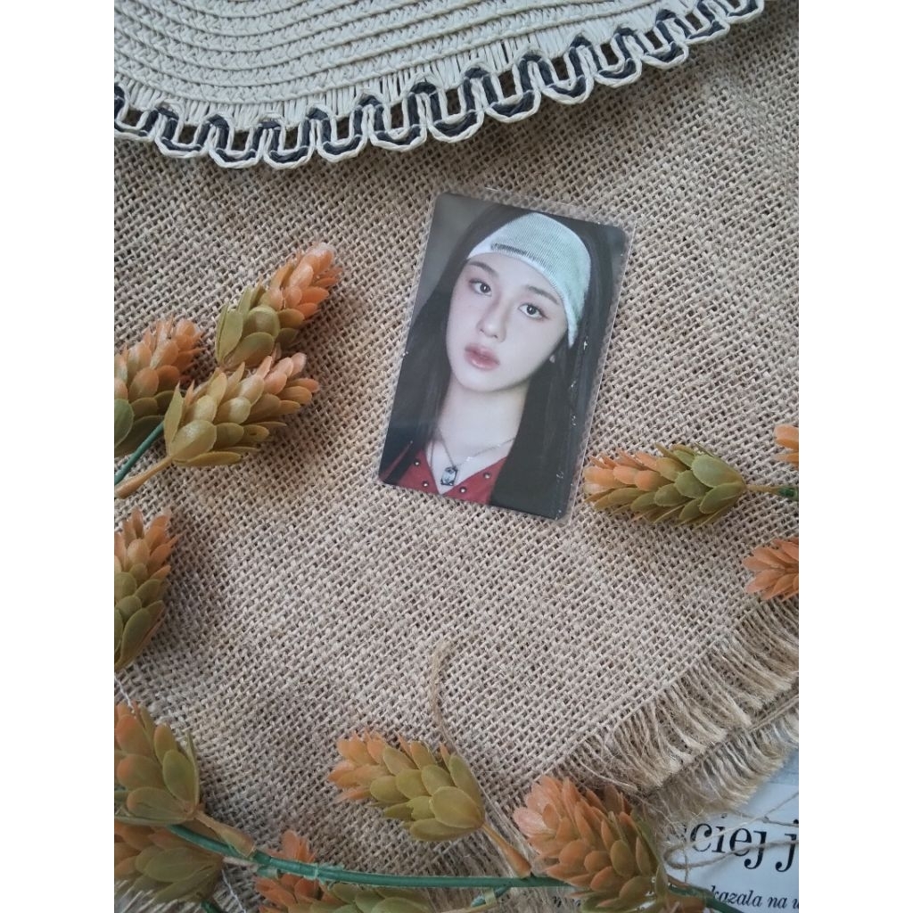 [ OFFICIAL ] Photocard Pharita Babymonster from Trading PhotoCard Hello Monster