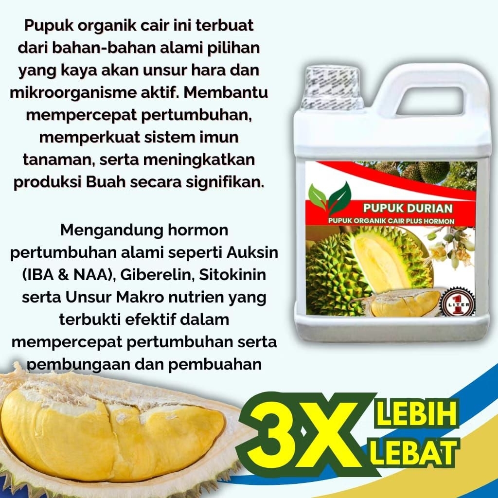 Pupuk Organik Cair Durian Cepat Berbuah Lebat Tidak Rontok Bunga Booster Durian Montong Musang king