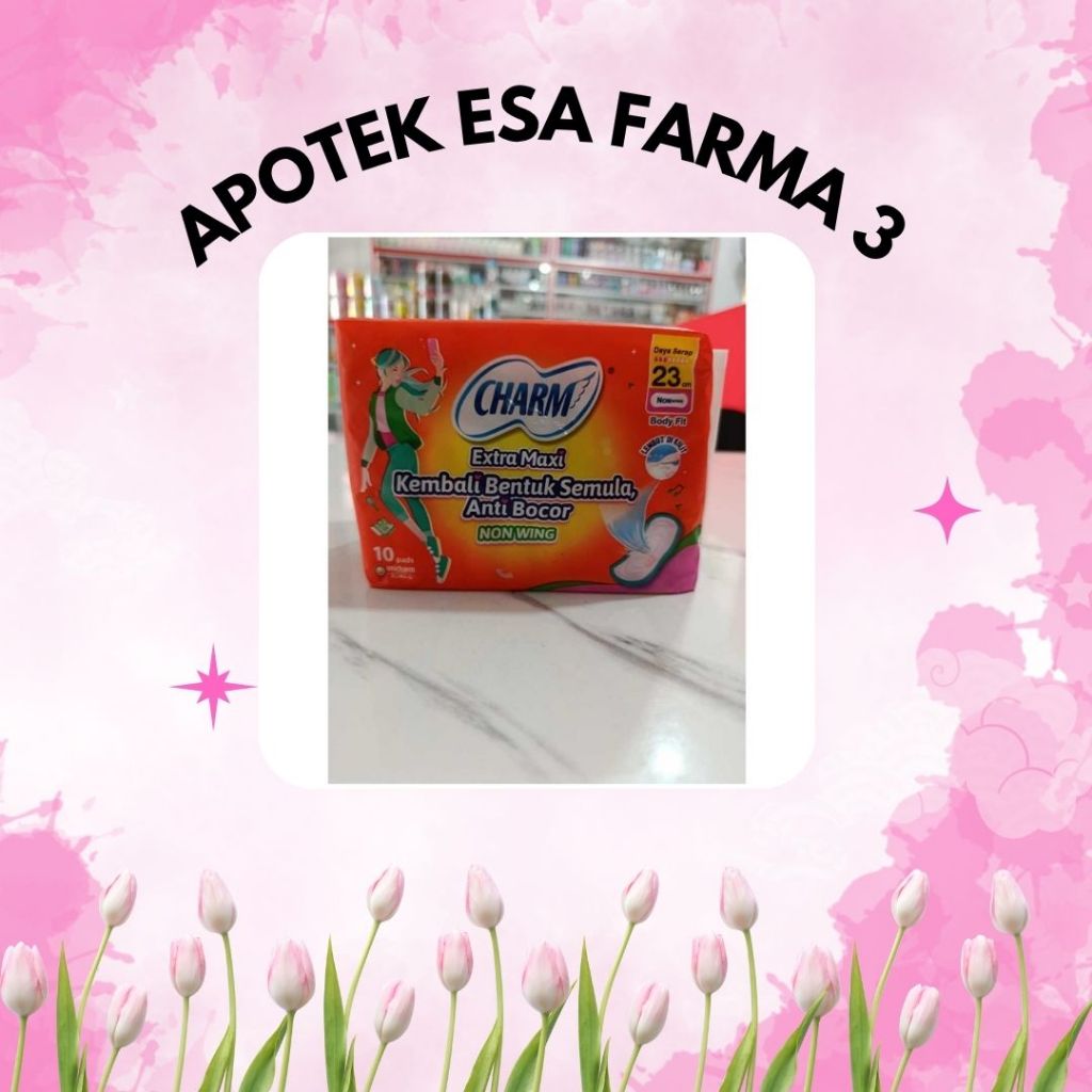 charm extramaxi non wing - isi 10 pads
