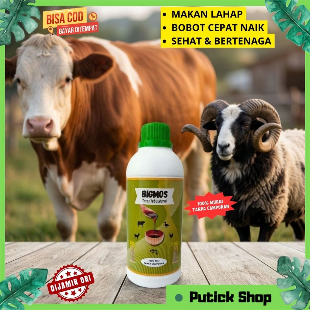 PENGGEMUK KAMBING SAPI BIGMOS MOLASE TETES TEBU PENAMBAH NAFSU MAKAN TERNAK KAMBING SAPI ENTOK AYAM