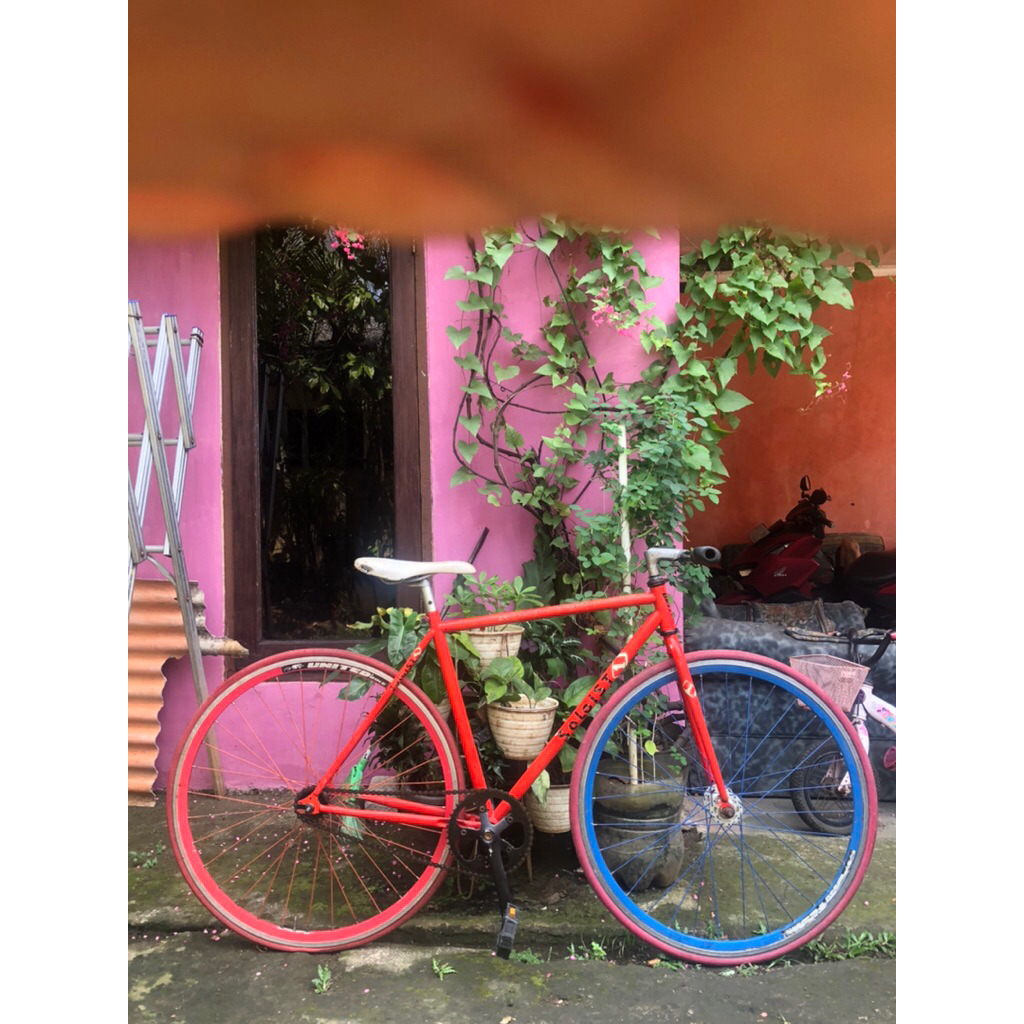 fixie  soloist01