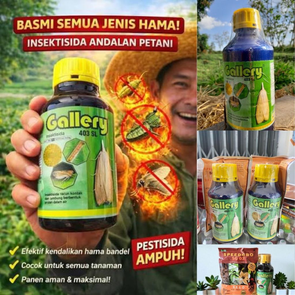 Insektisida Gallery 403 SL Obat Hama Wereng, ulat dan kutu Kutuan