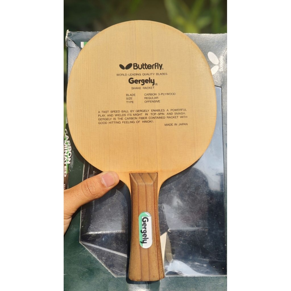 Butterfly Gergely Oldtag kupu hitam fullbox