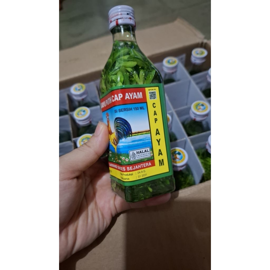 Minyak Kayu Putih Cap Ayam 150ml Rendam Chou Chou /Inggu Exp 01.31
