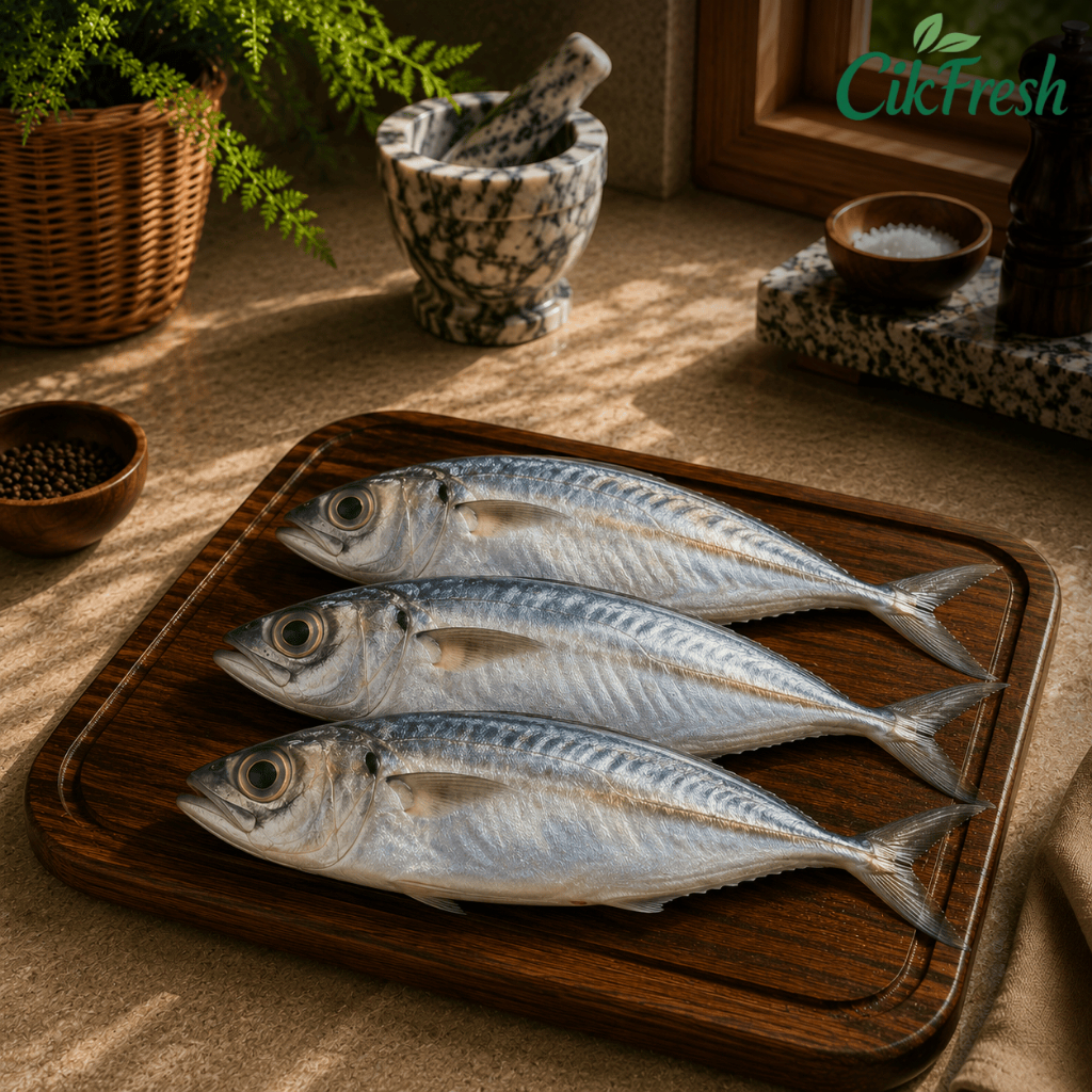 Ikan Kembung Mata Belo Fresh | Ikan Laut Segar | Cocok Goreng, Bakar & Pesmol