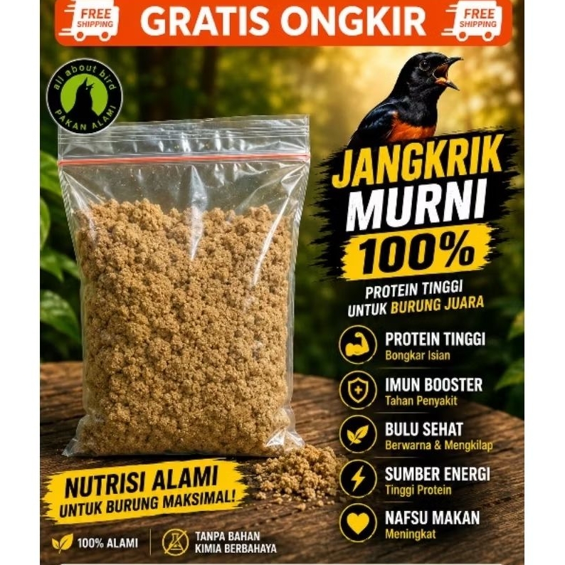 TEPUNG JANGKRIK MURNI EKSTRA FOODING PAKAN BURUNG MURAI KACER ANIS CUCAK JALAK CIBLEKRUDI JAYA EF