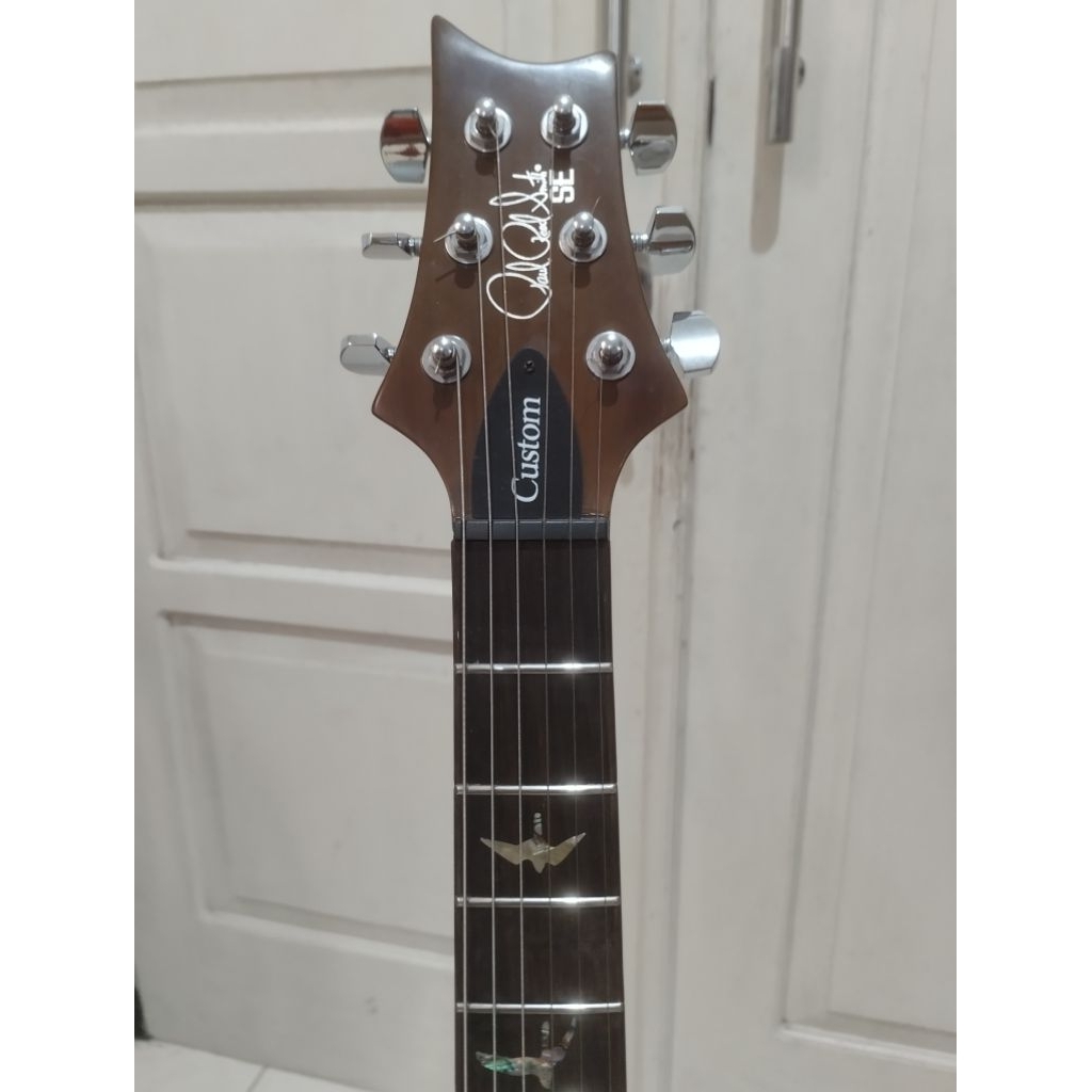 PRS SE custom 22