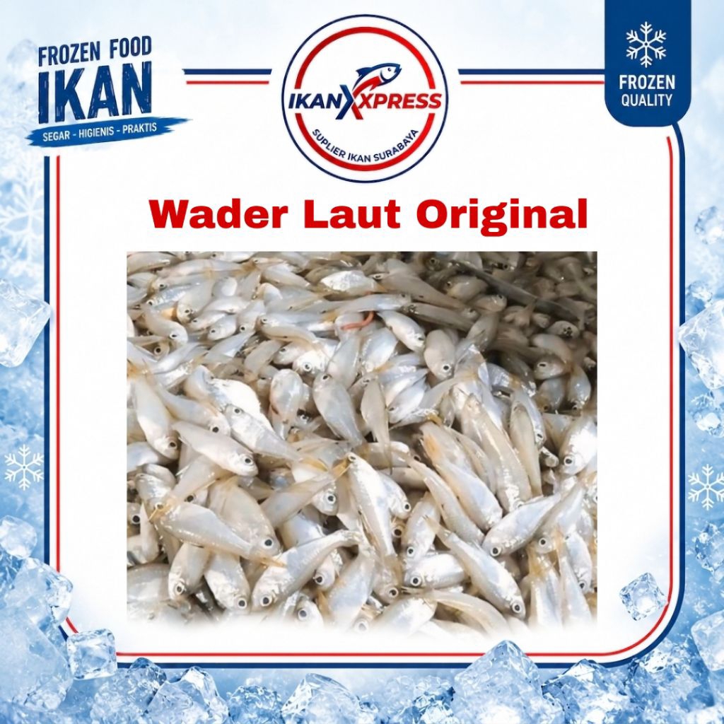 Ikan Wader Laut Mentah Segar / Wader Frozen Beku Umpan Pancing Lauk Konsumsi Segar Higienis Tanpa Pe