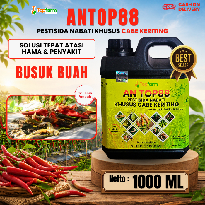 Obat Busuk Buah Cabe Keriting / Obat Busuk Kering Cabe / Obat Anti Busuk Buah Cabe / Obat Anti Patek