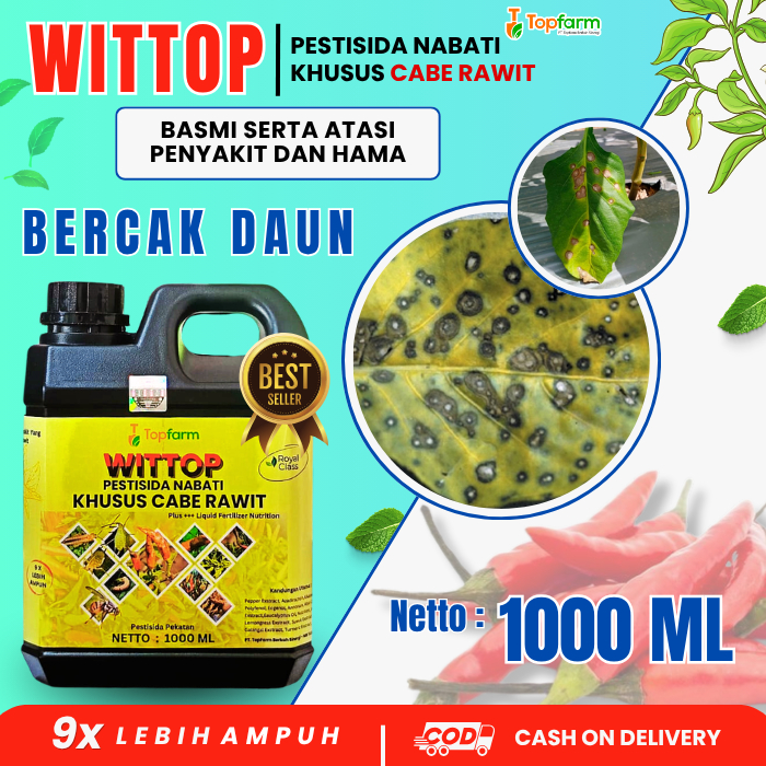 Obat Bercak Daun Cabe Rawit Ampuh / Obat Jamur Cabe Rawit / Obat Penyakit Bercak Daun / Fungisida Ca