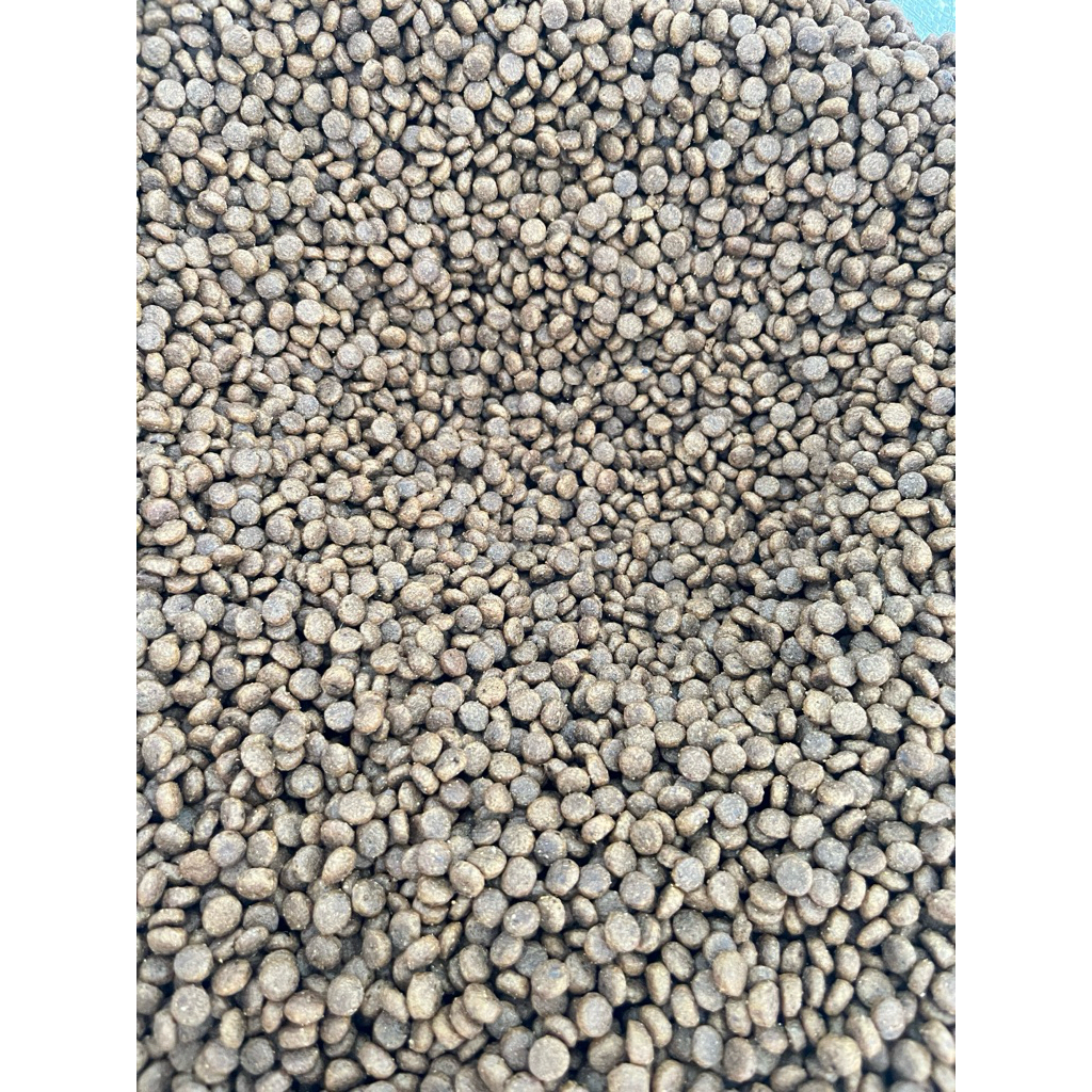 makanan kucing 1kg