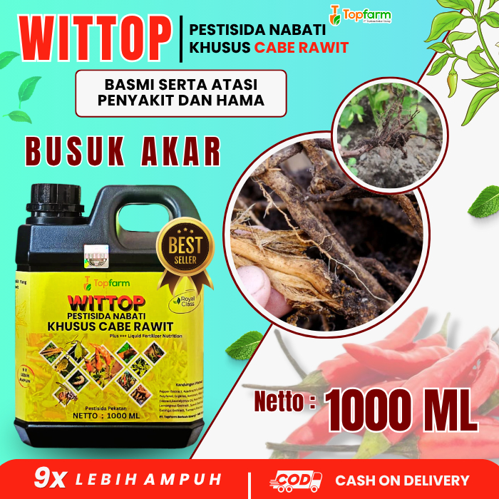 Obat Busuk Akar Cabe / Obat Pengendali Busuk Akar Tanaman Cabai / Fungisida Cabe / Anti Busuk Akar T