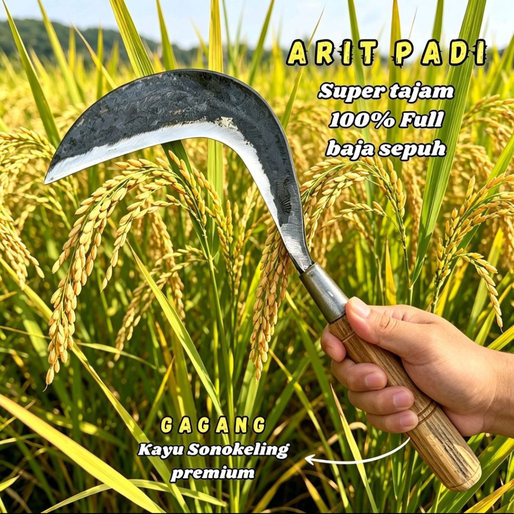 Arit Padi Tradisional Super Tajam Bahan Full Baja Asli Garut