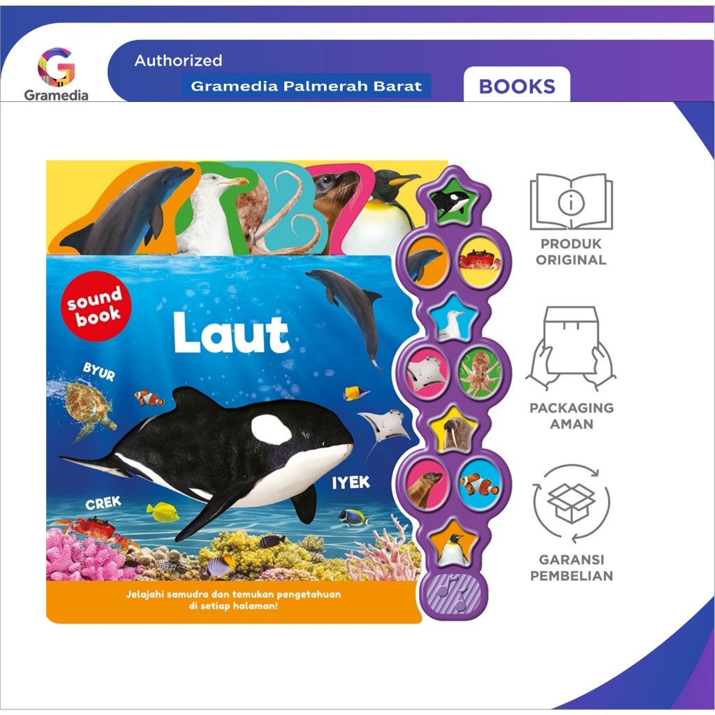 Big Sound Book: Laut (Igloo Books)