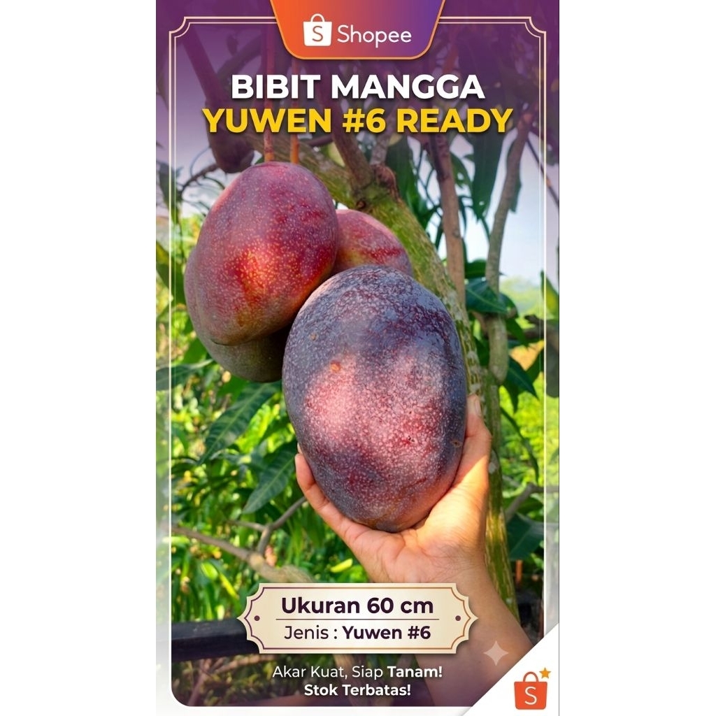 MANGGA YUWEN#6