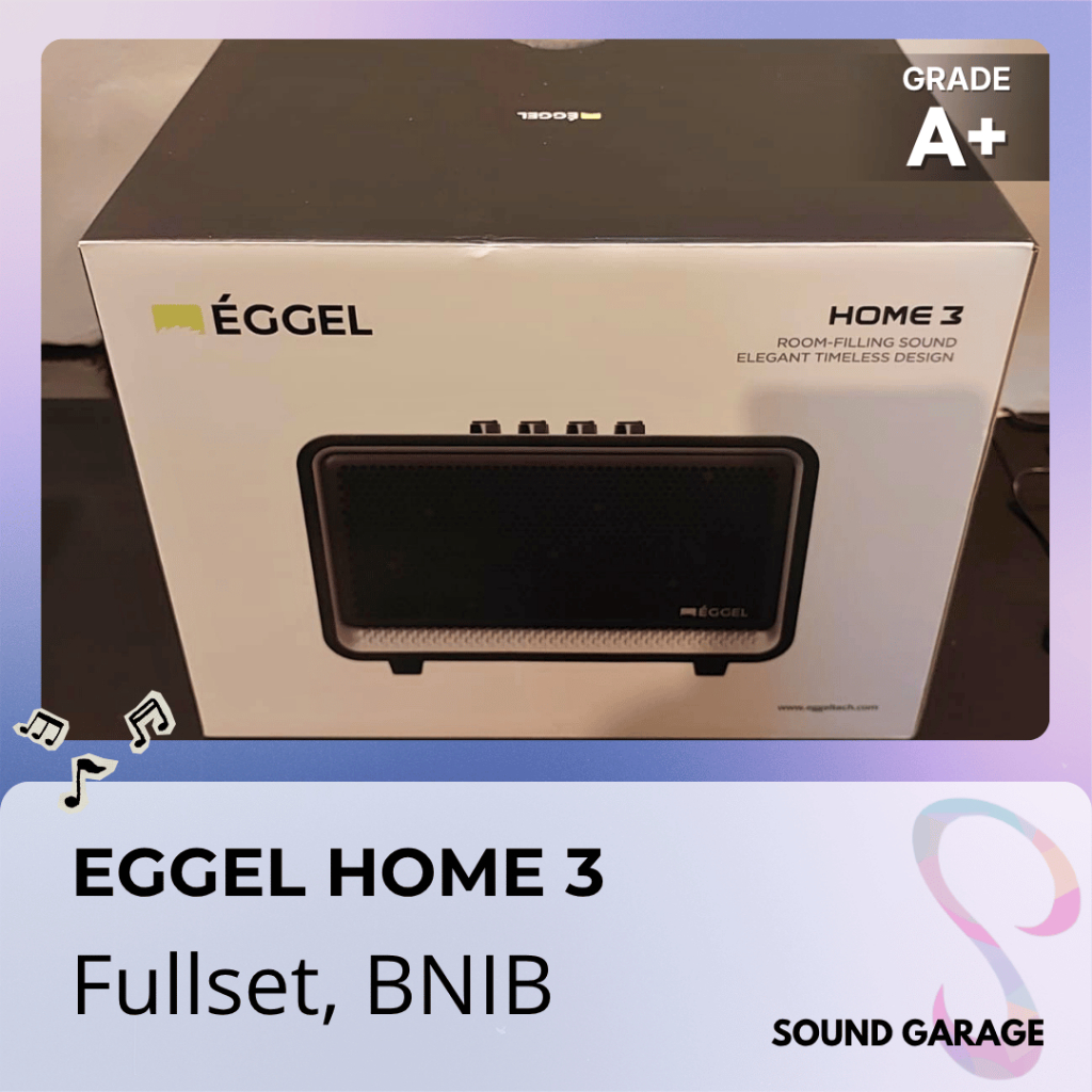 EGGEL HOME 3 Bluetooth Karaoke Speaker