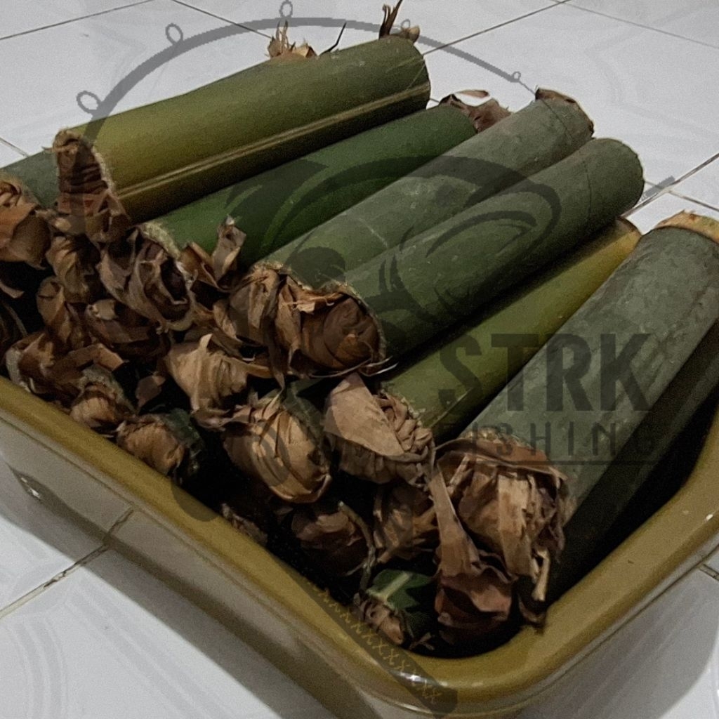 Bumbung isi ulat / Cangcilung / Larva Bambu Isi 35 [COD]