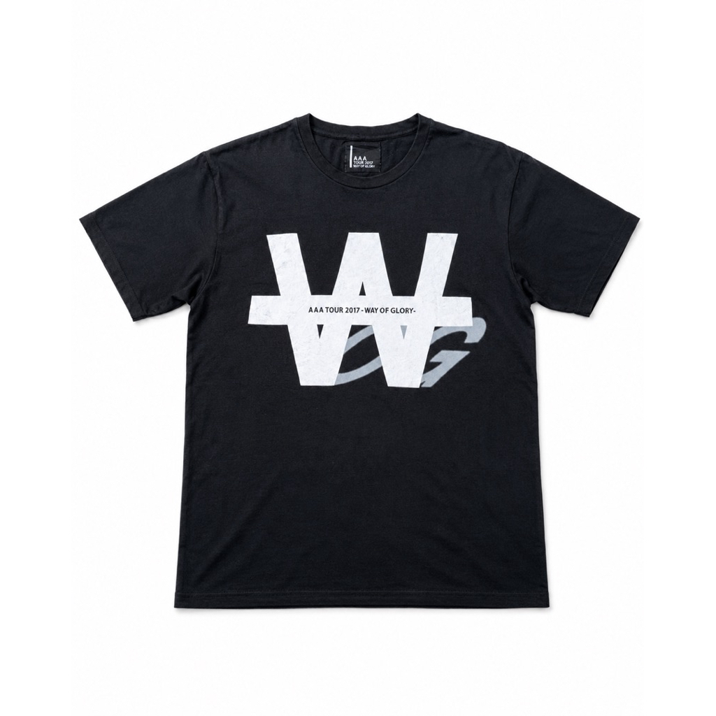 AAA “Way of Glory” Tour 2017 Tee - trashed -faded - distressed - erd - vintage - band tee