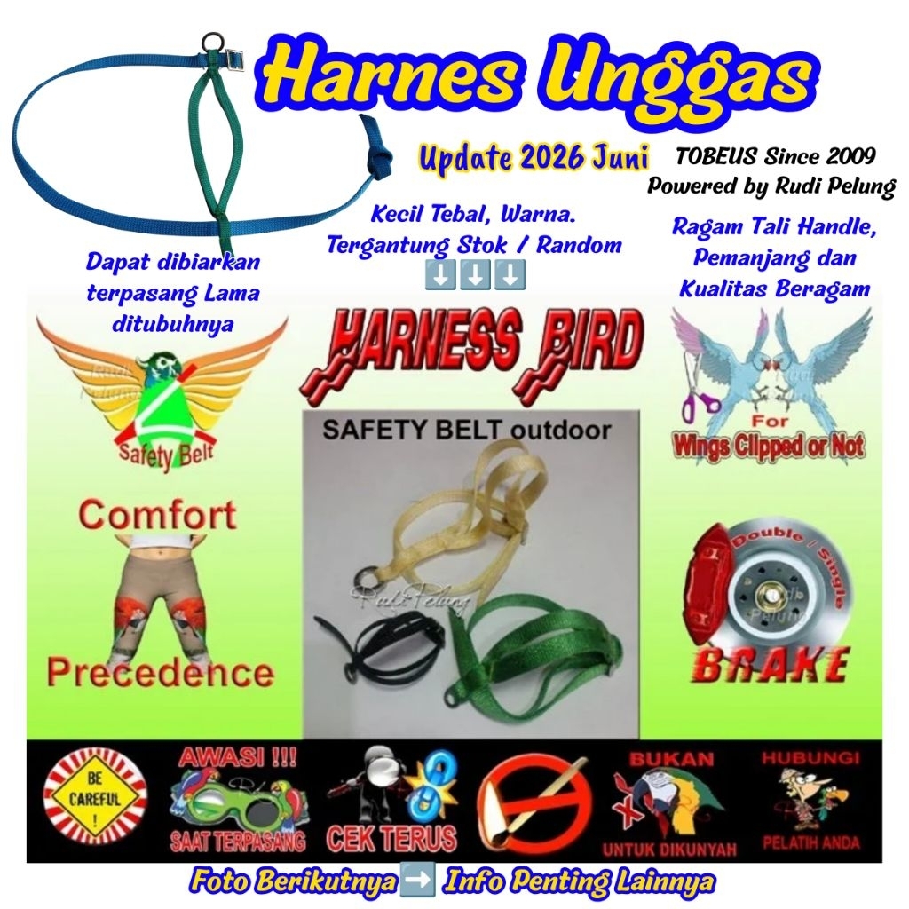 Harness burung parrot merpati ayam bebek kutilang murai kenari free fly cockatiel falk sunconure mac