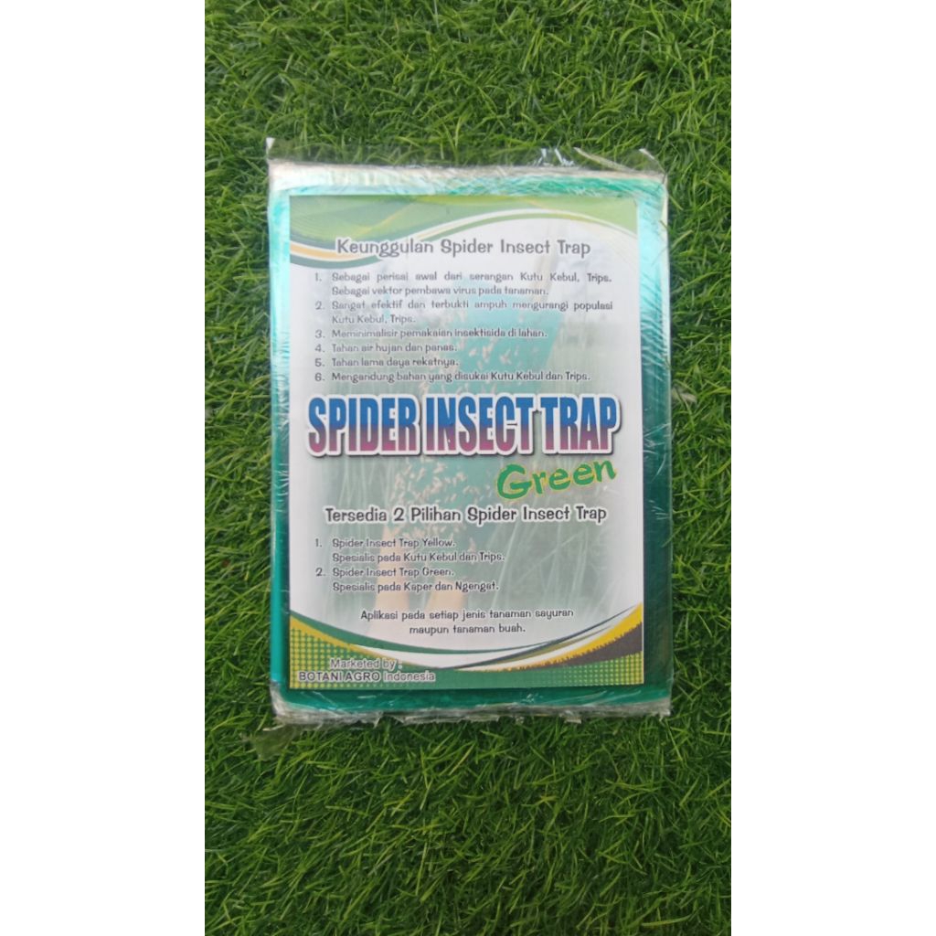 spider insect trap