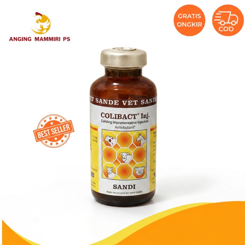 Colibact Inj SANBE VET 20 ml || Solusi infeksi bakteri pada ayam & ternak