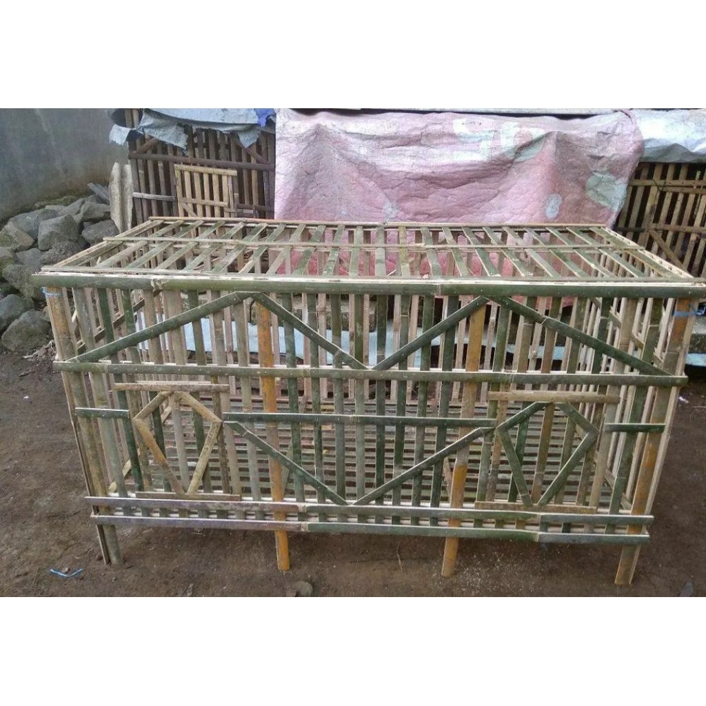 kandang ayam bangkok 2 pintu ukuran 120 x 60 x60