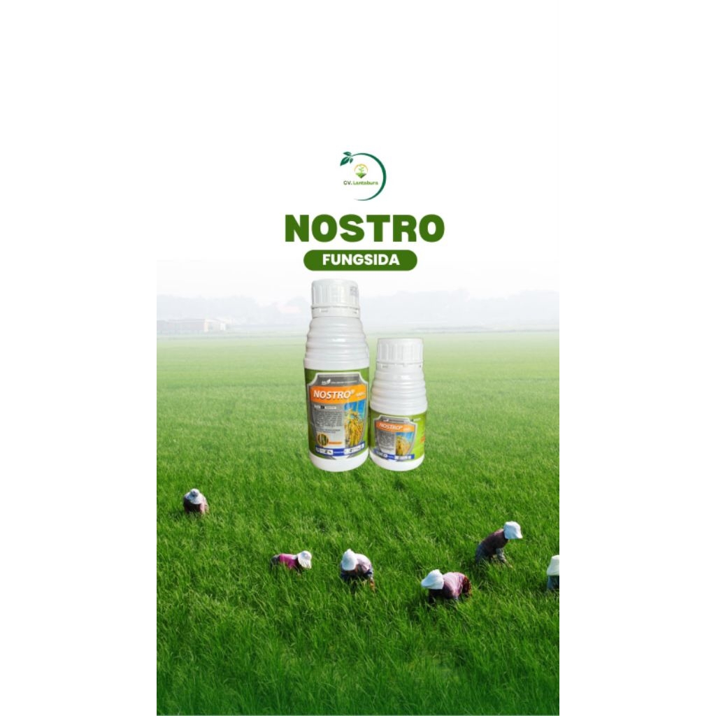 NOSTRO 440 EC