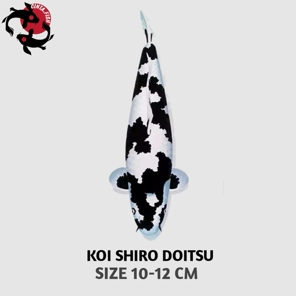 KOI SHIRO DOITSU